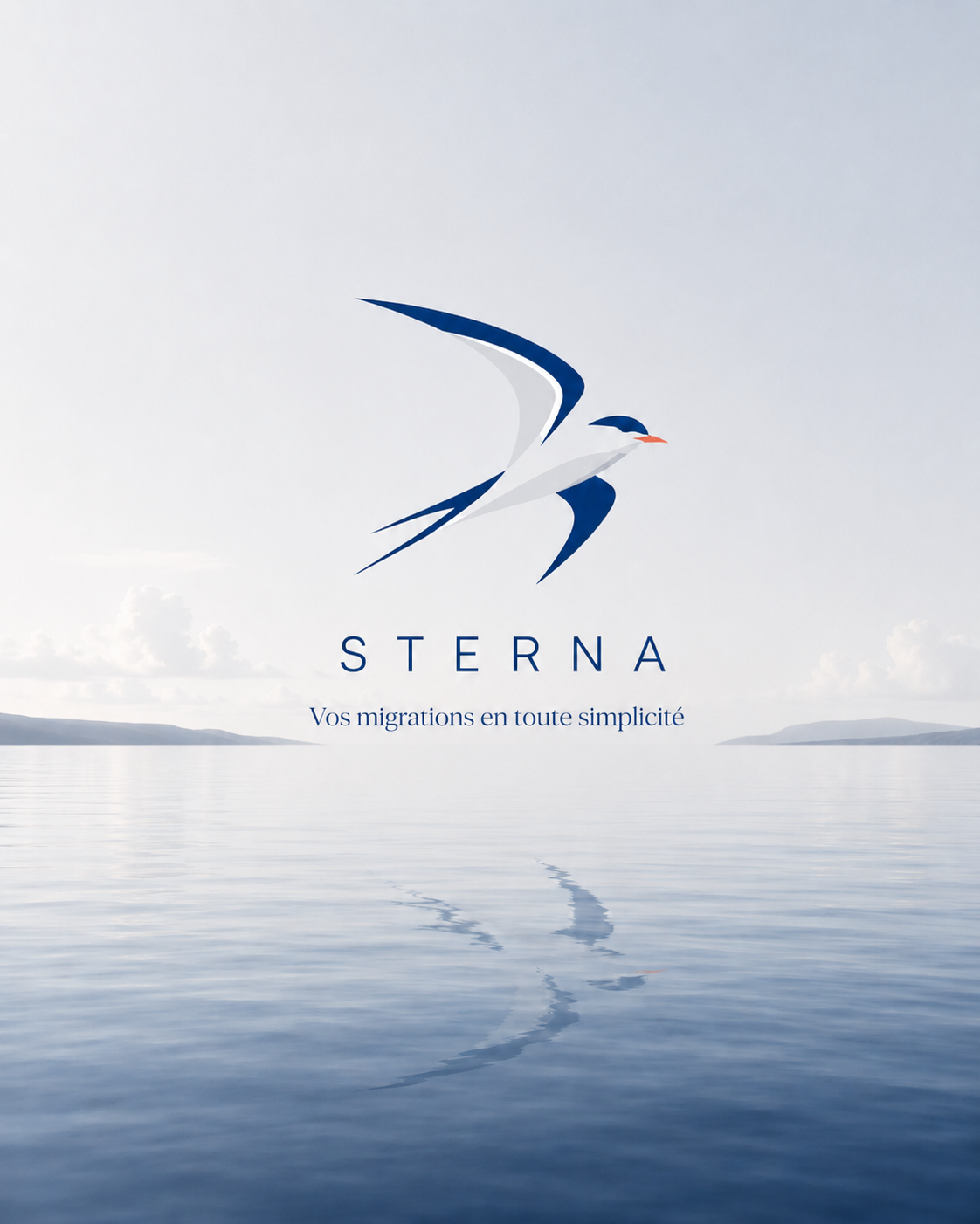 Illustration Sterna avec une sterne en vol au-dessus d’un horizon marin calme.